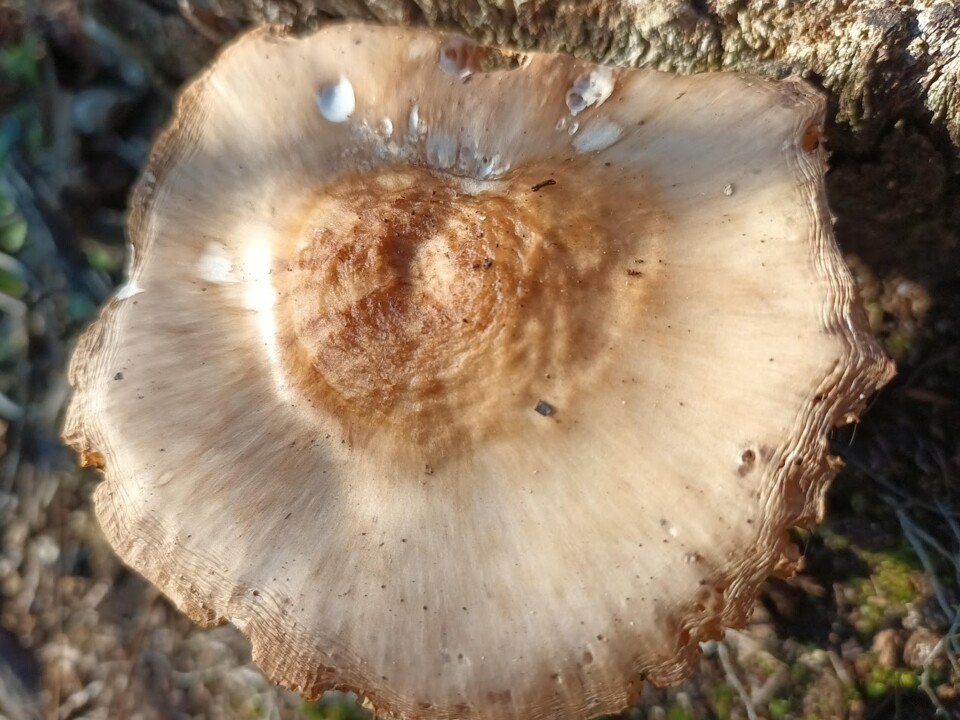 Não me canso disto inverno 1.jpg