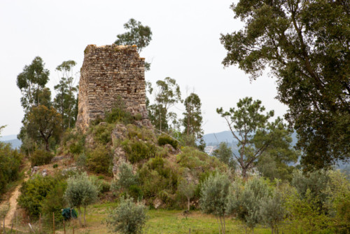 torrebera-2.jpg torrebera-2.jpg