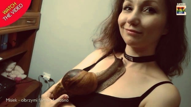 HD Caracol gigante de estimação.jpg