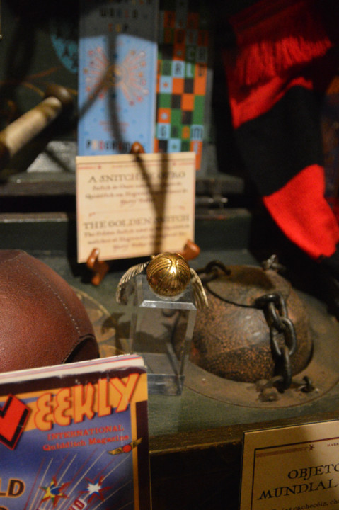 ExpHarryPotter_Mar2020-39.jpg