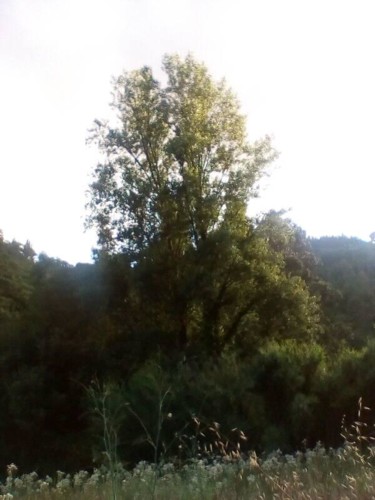 37656105_1738128606302437_1572005721652854784_n.jp