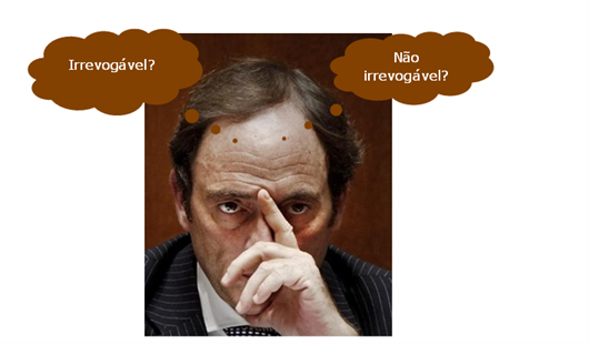 CDS Paulo Portas irrevogavel.png