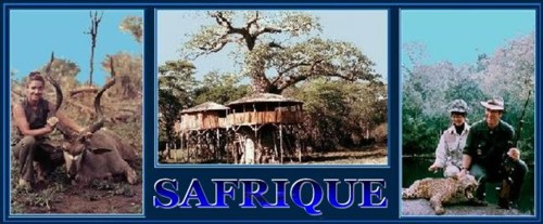 saf.JPG