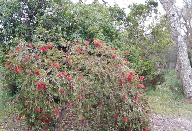 168685520_3773446882770589_1599061347235758863_n.j