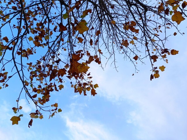 1000023305 - Cópia.jpg