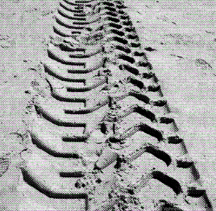 Photo by mmeuk from FreeImages (1).png