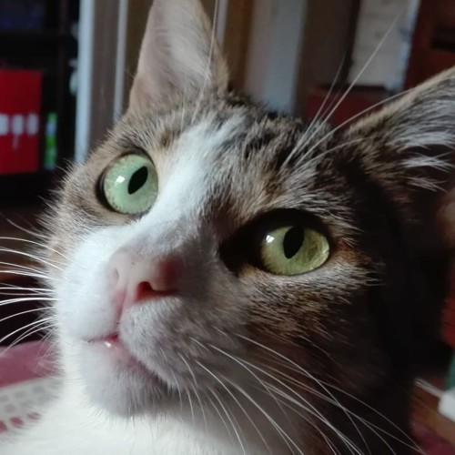 35671668_1509679902477291_7877911241472081920_n.jp 35671668_1509679902477291_7877911241472081920_n.jp