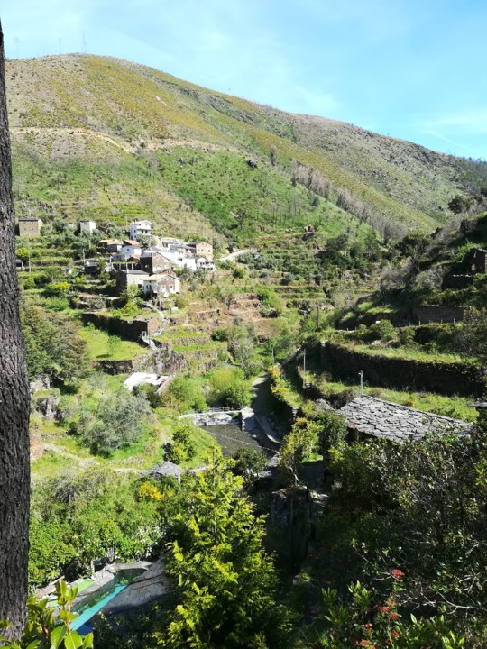 IMG_20190428_103707.jpg