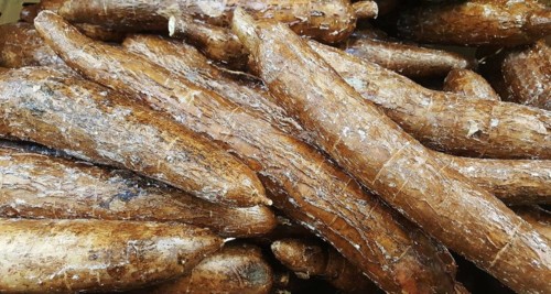 yuca-o-mandioca-guia.jpg