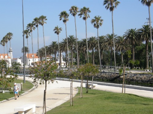 a.jpg