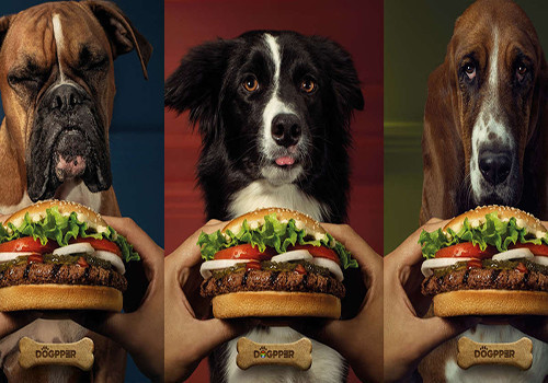 HD O HamBurger King só para cães.jpg