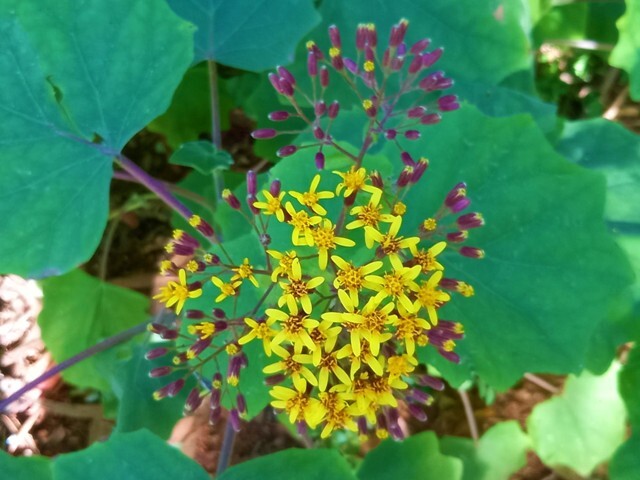 336788319_654920069771197_6287386512121150013_n.jp