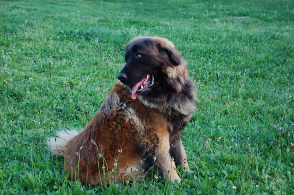 DSC_0433.JPG