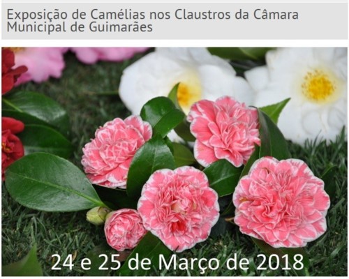 Guimarães - Exposição de Camélias - 24 e 25 de Guimarães - Exposição de Camélias - 24 e 25 de