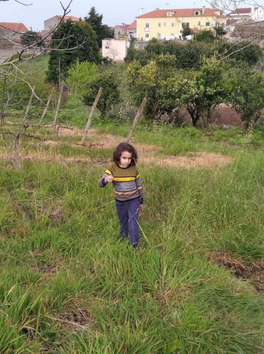 NãoMeCansoDisto_plantar3.jpg