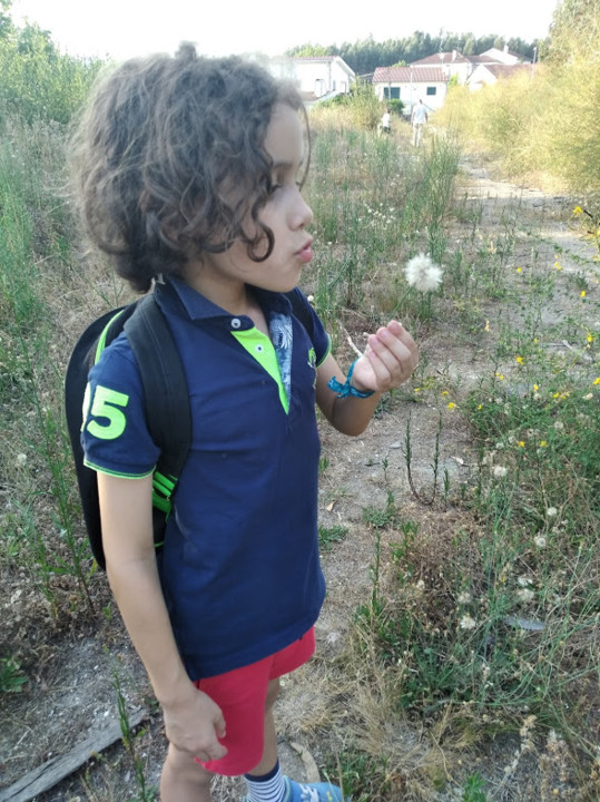 não_me_canso_disto_Mini_dente de leão1.jpg