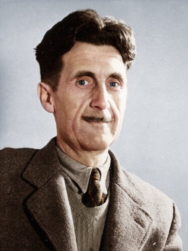 3706.jpg