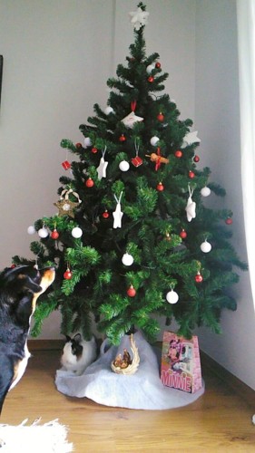 Arvore de natal_maggie e fluffy-01.jpeg