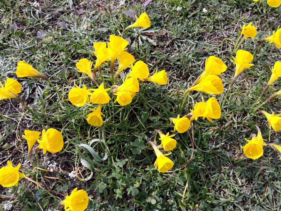 20210307_133202.jpg