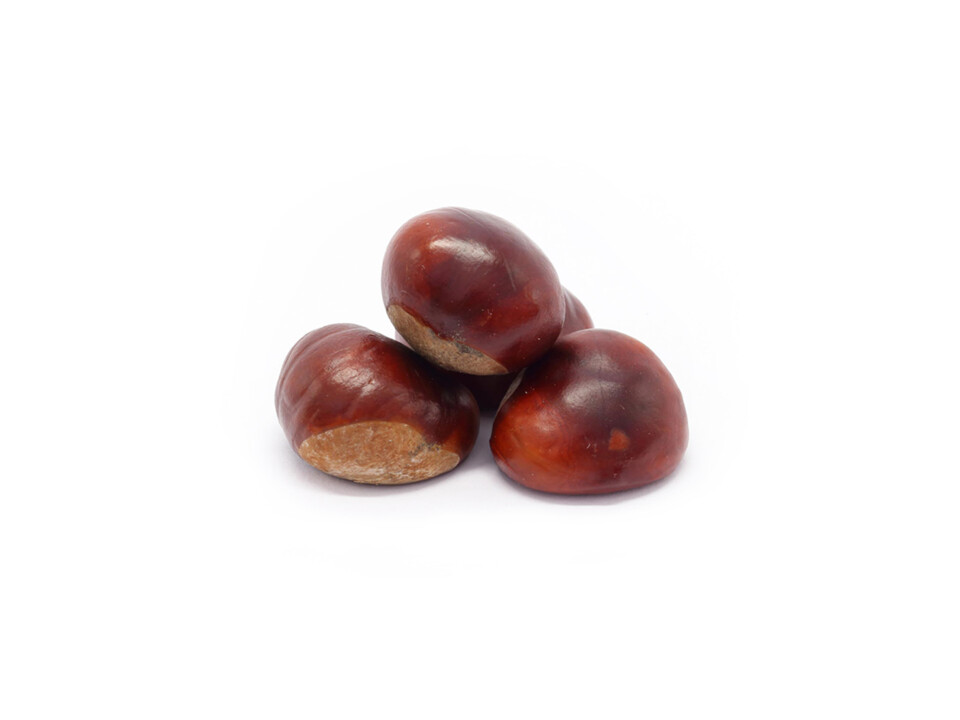 Castanha-Alimento-6.jpg