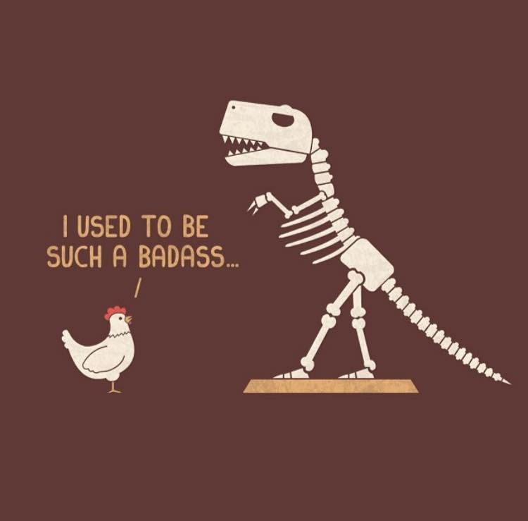 26219679_1826642607359739_8196136604458801610_n.jp