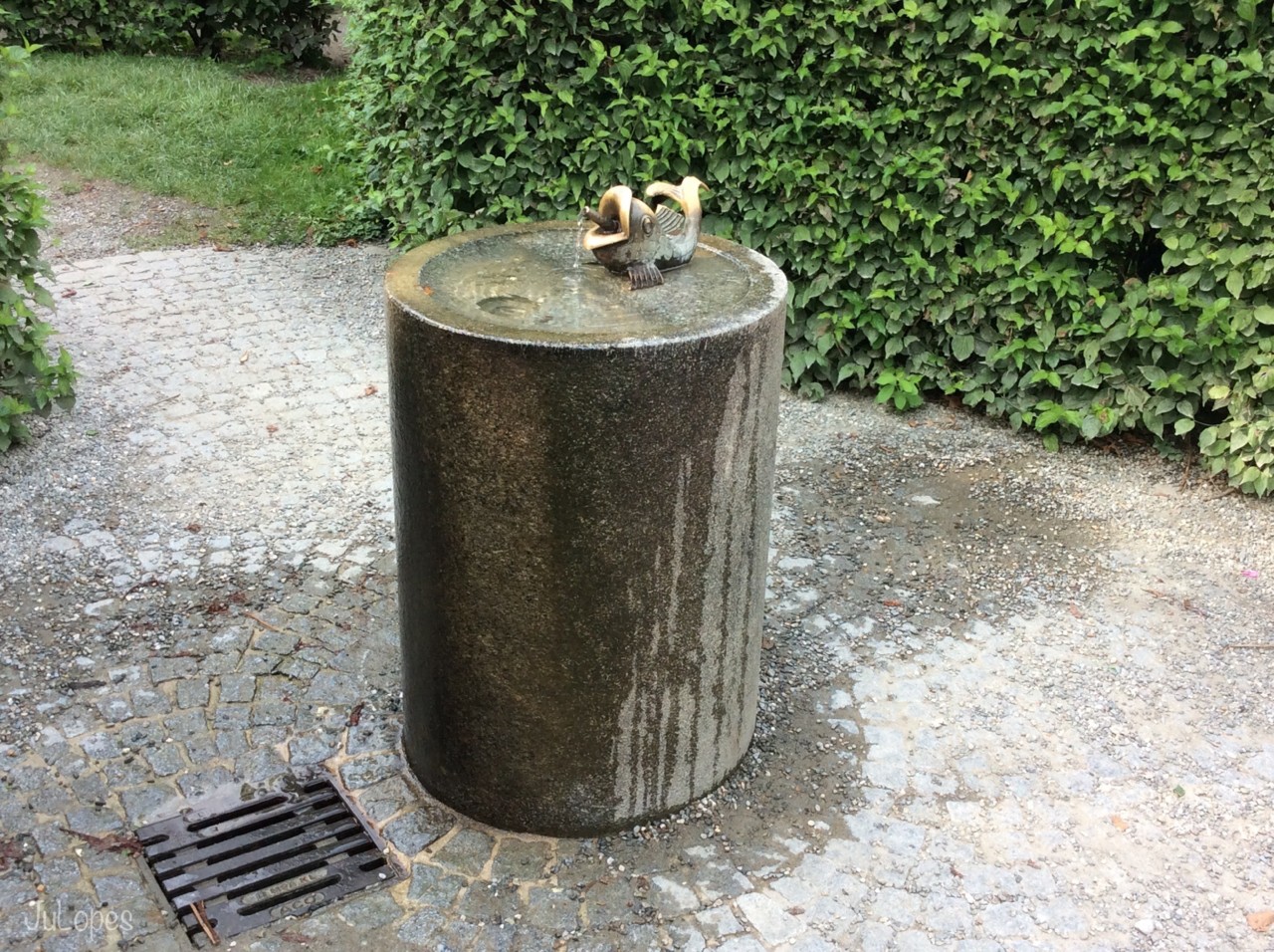 IMG_5349.jpeg