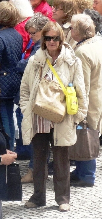rosa1.jpg