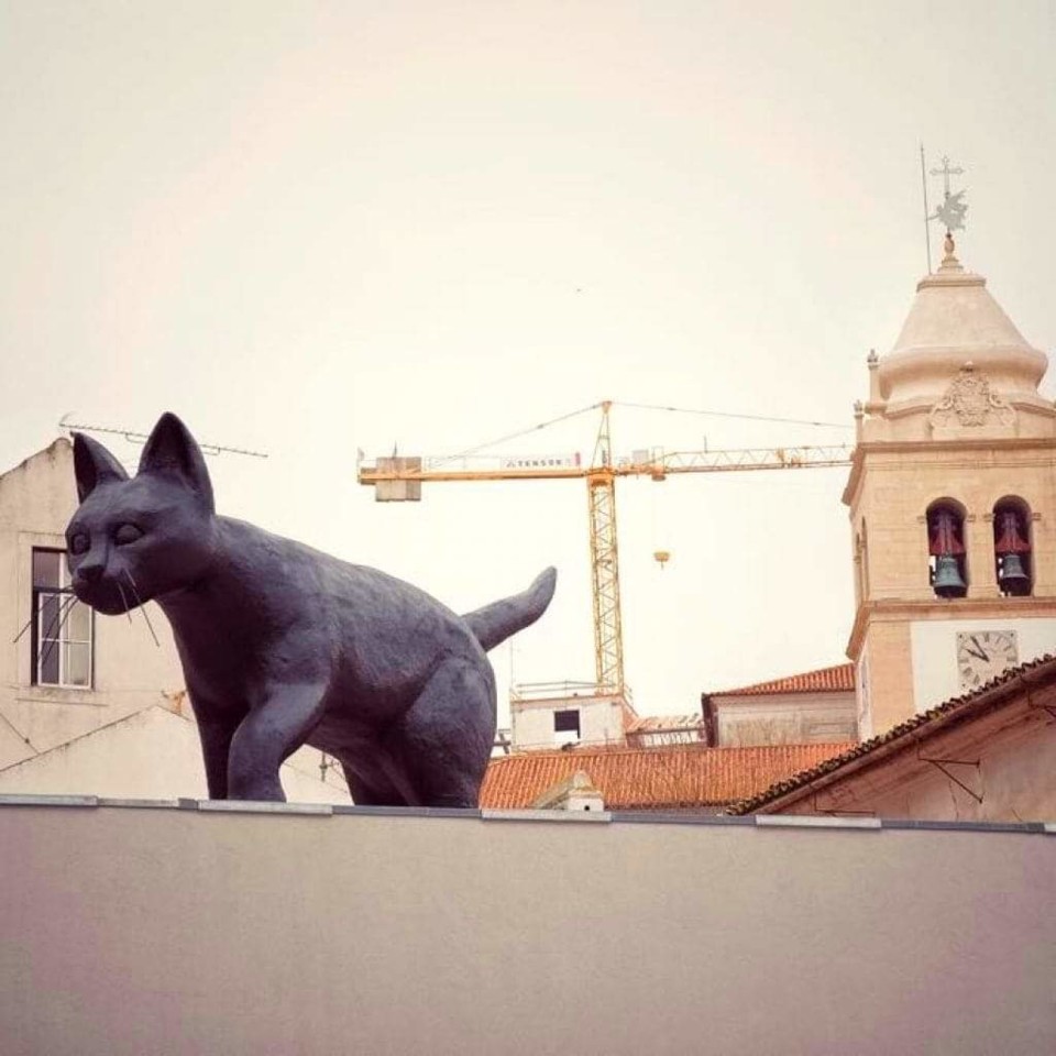 received_618799102117796.jpeg received_618799102117796.jpeg