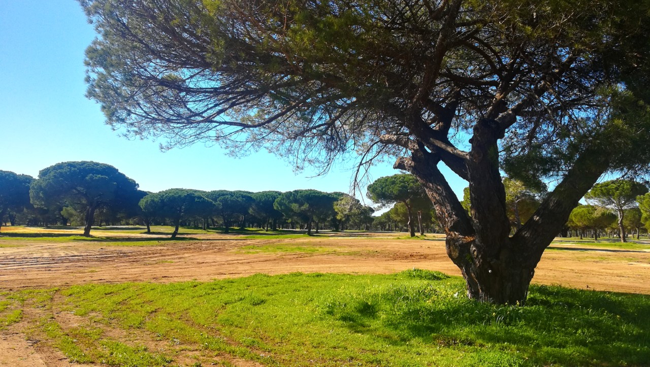 lagoa albufeira2.jpg