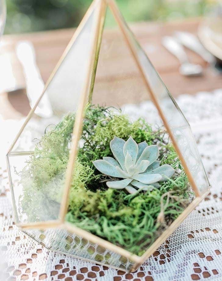 terrarium_centerpiece_for_wedding.jpg terrarium_centerpiece_for_wedding.jpg