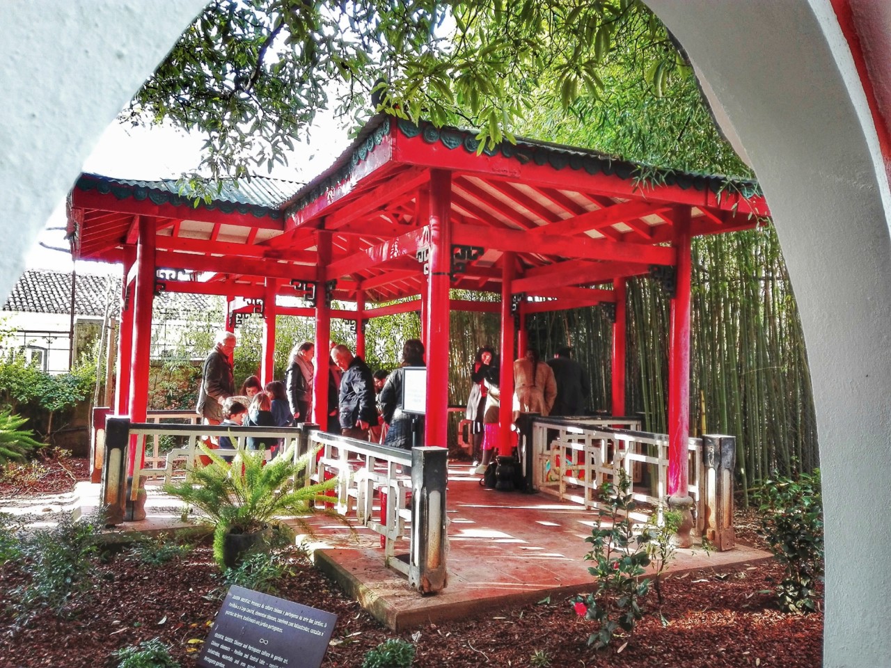 jardim tropical belem (10).jpg