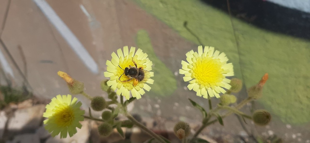 lá fora.jpg lá fora.jpg