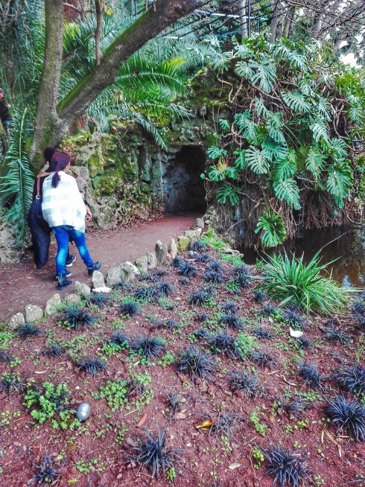 jardim tropical belem (6).jpg