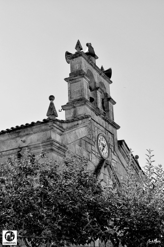 DSC_0704abc.jpg