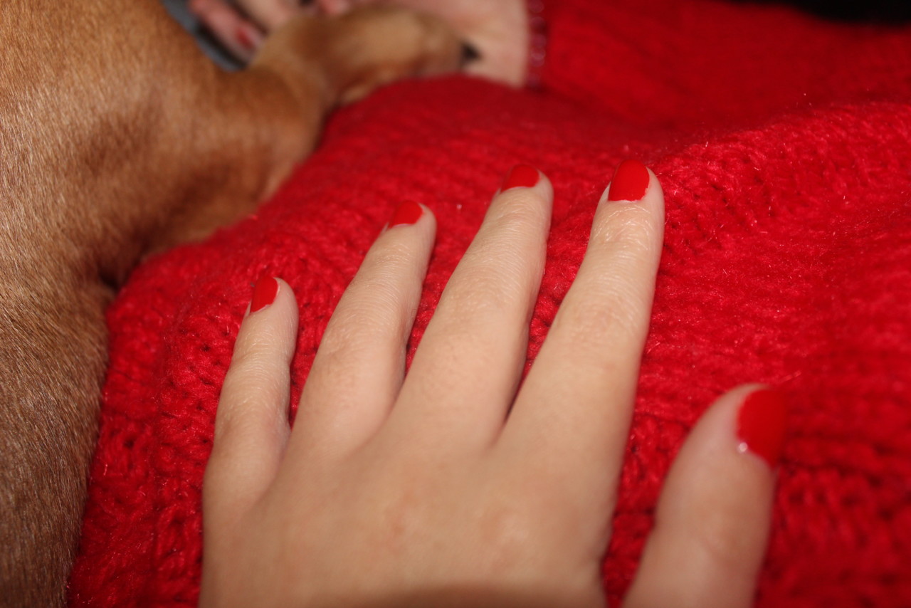 IMG_3343.JPG IMG_3343.JPG