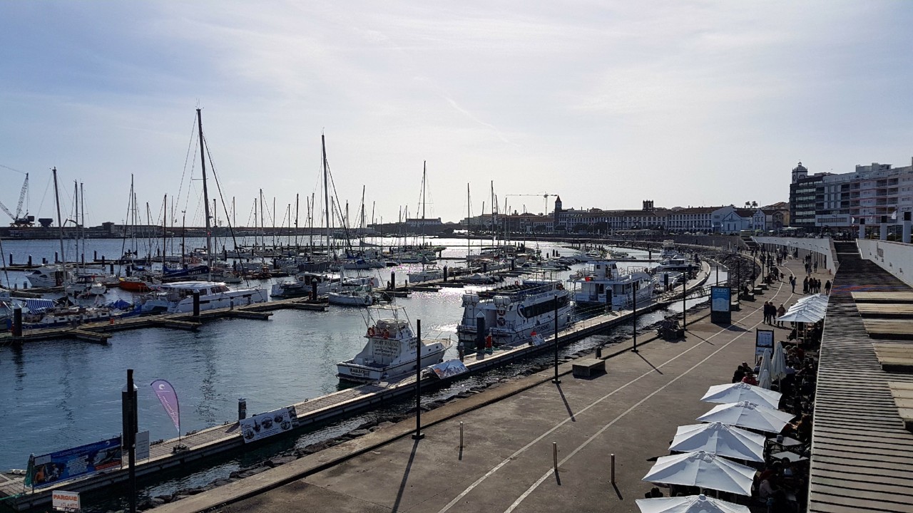 20180408_172503.jpg