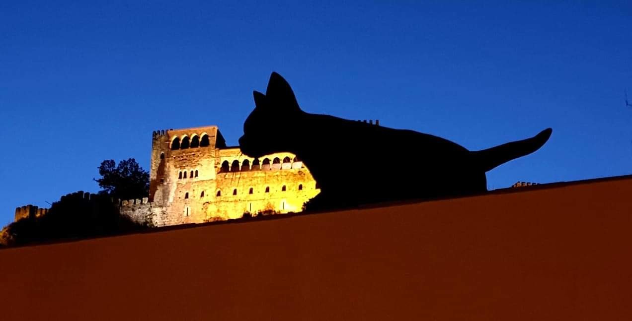 received_2378169345820323.jpeg received_2378169345820323.jpeg