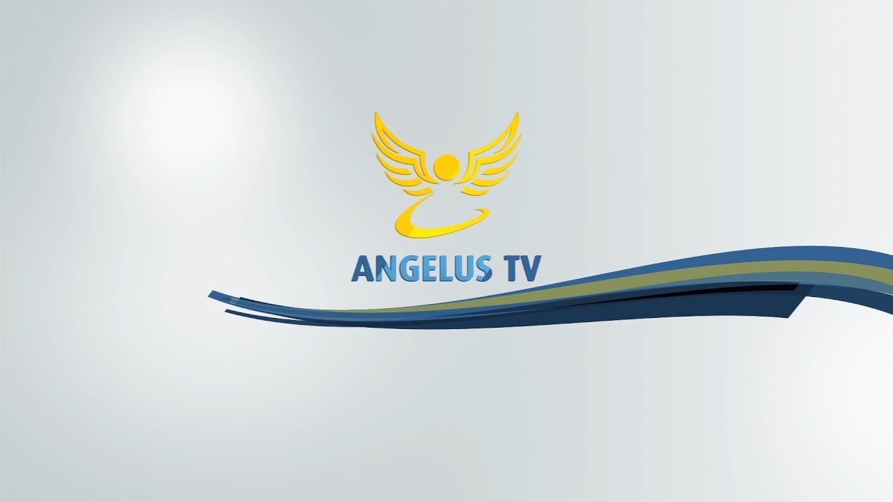 Resultado de imagem para angelus tv"