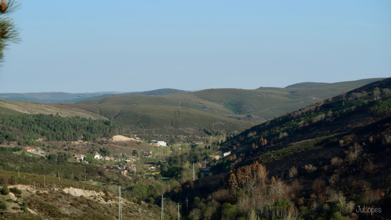 IMG_1415.jpg