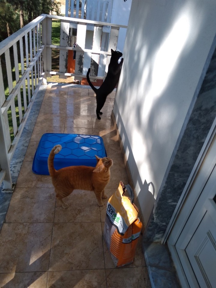 SquarePic_20190906_18154513.jpg SquarePic_20190906_18154513.jpg