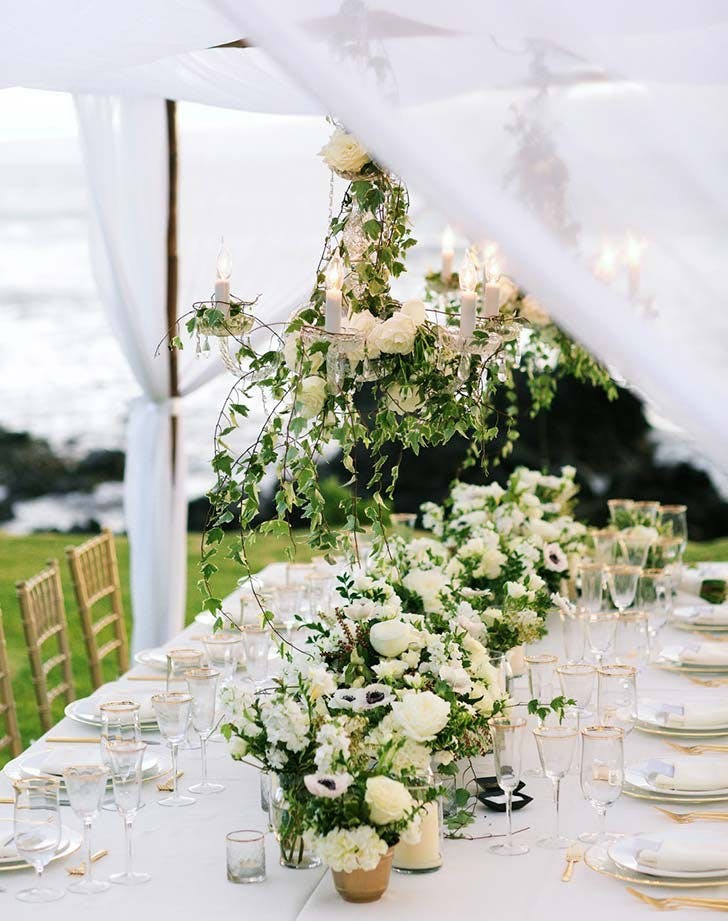 vine_chandelier_tabletop.jpg vine_chandelier_tabletop.jpg