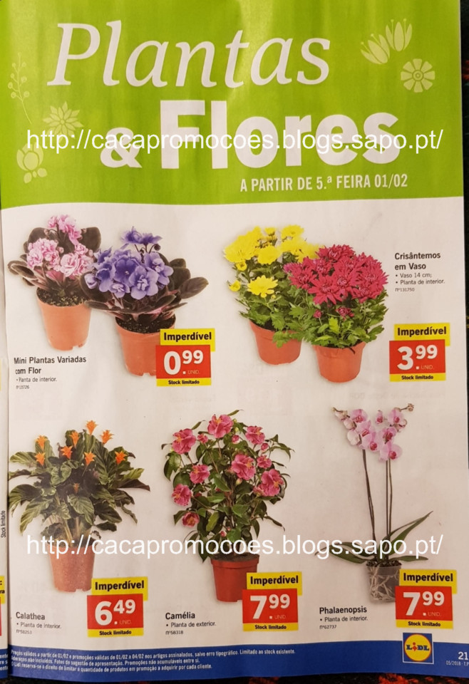 antevisão lidl_Page21.jpg