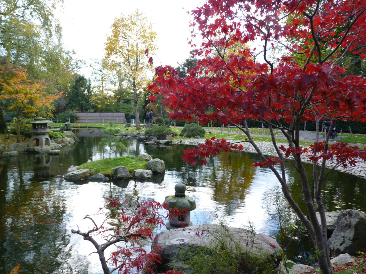 Kyoto Garden (Londres).JPG Kyoto Garden (Londres).JPG