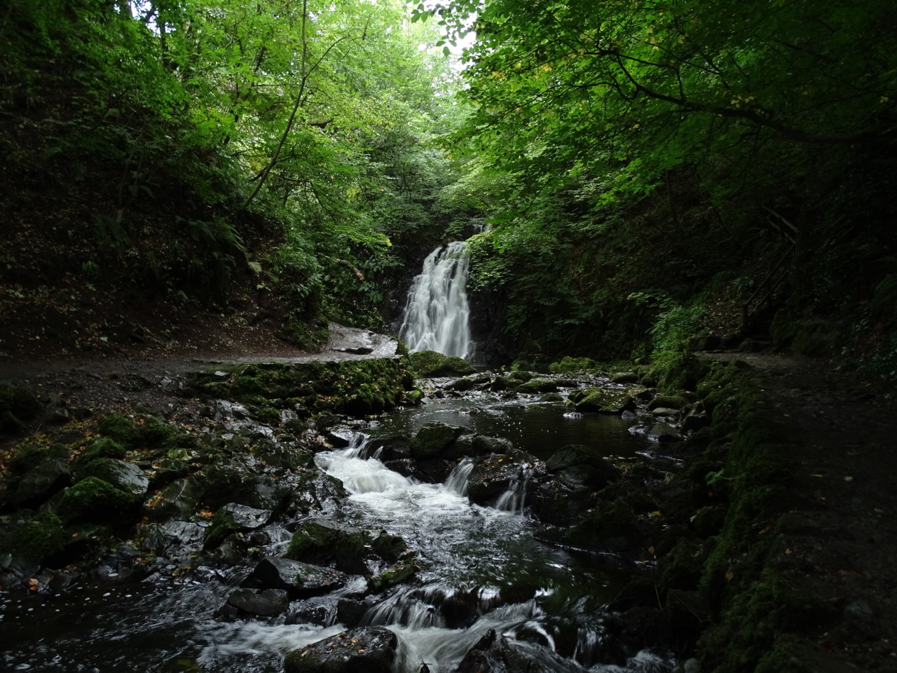 DSC03082.JPG