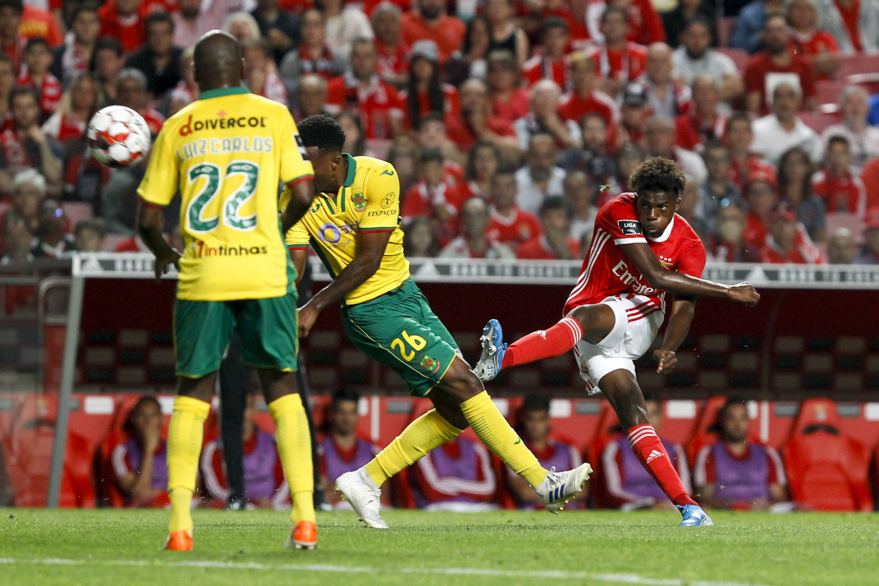 Benfica 5 - 0 Pa\u00e7os de Ferreira: Ent\u00e3o, E Se... - Red Pass