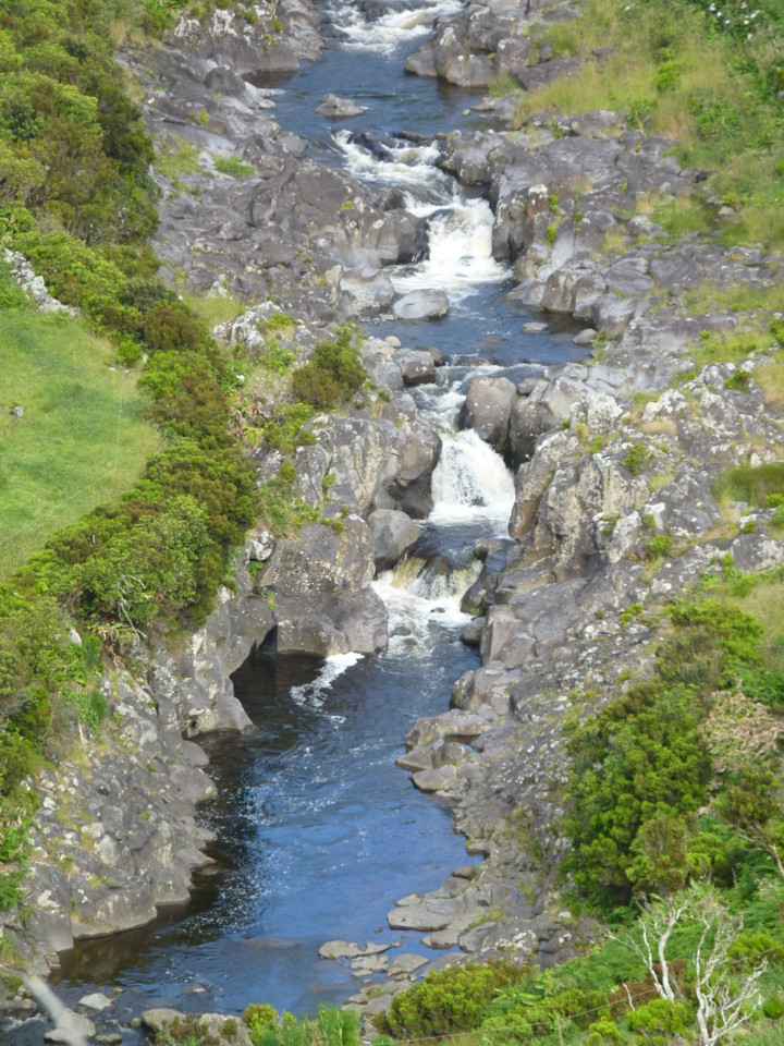 Ribeira do Moinho, Flores (2).JPG Ribeira do Moinho, Flores (2).JPG