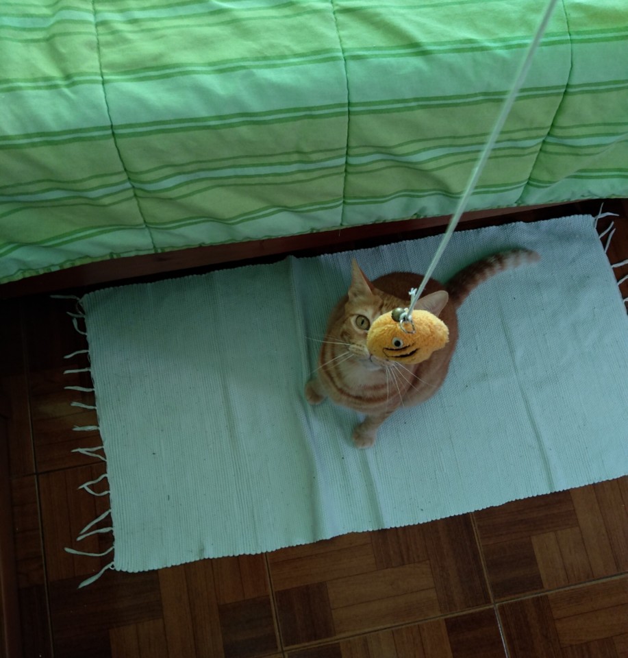 SquarePic_20210508_19353049.jpg SquarePic_20210508_19353049.jpg