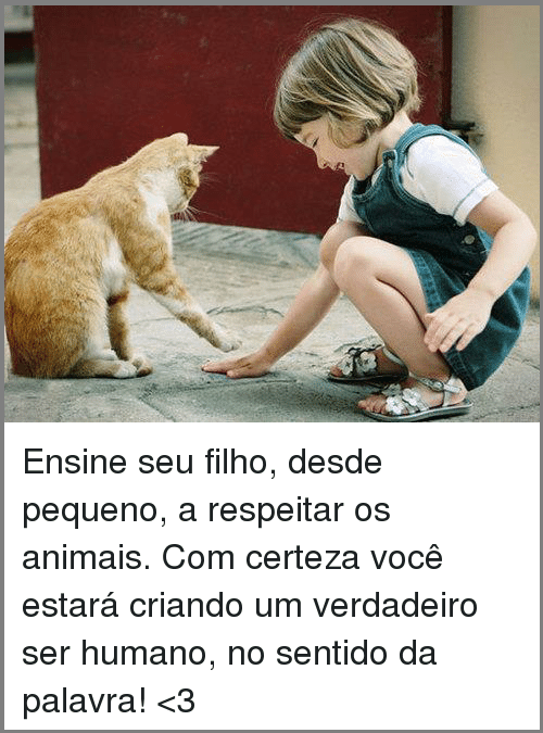 ensine-seu-filho-desde-pequeno-a-respeitar-os-anim ensine-seu-filho-desde-pequeno-a-respeitar-os-anim