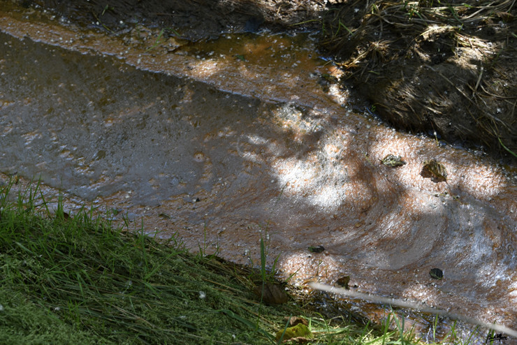 _DSC9134.JPG