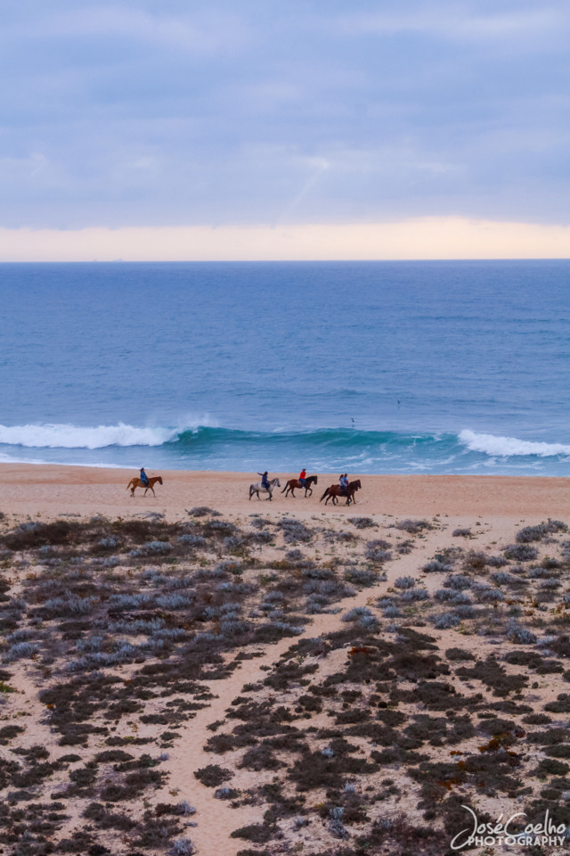 nazaré  (23).jpg